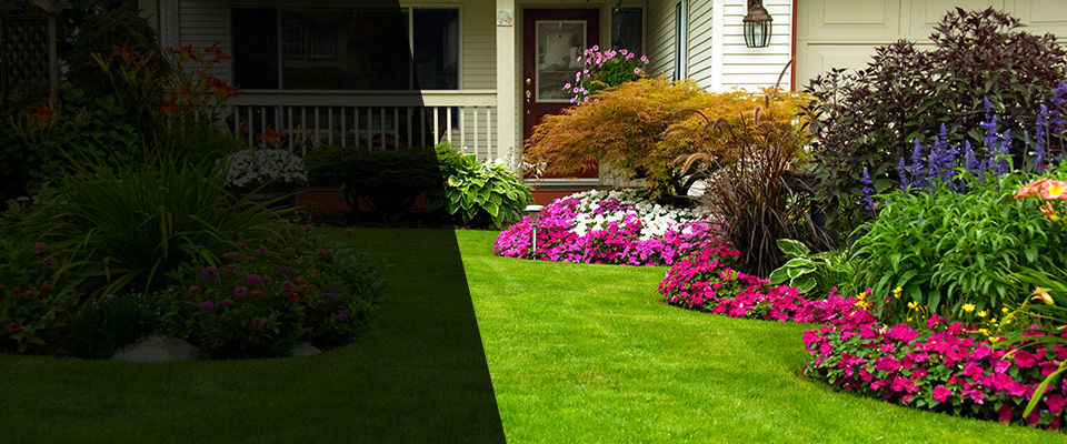 Chapel Hill Landscapers